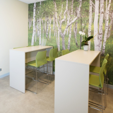 Tekero referents Tamro Baltics büroo Lätis. Interface plaatvaip Urban Retreat ja Amtico LVT kate Spacia. 