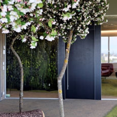 Tekero referents Telia Eesti peahoone. Interface plaatvaibad Urban Retreat, Near & Far ja Human Nature. 